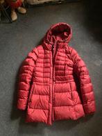 Moscow winterjas nieuw mt M, Kleding | Dames, Jassen | Winter, Ophalen, Nieuw
