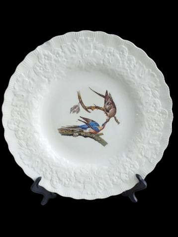 Duif. Dinerbord/Wandbord. Afb. passagiersduif. Alfred Meakin beschikbaar voor biedingen