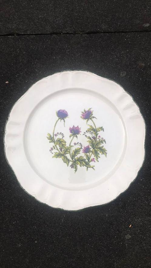 Italiaans bord met distels, Antiek en Kunst, Antiek | Servies los, Ophalen of Verzenden