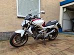 Suzuki Gladius 2010!, Motoren, Motoren | Suzuki, Naked bike, 650 cc, Particulier, 2 cilinders