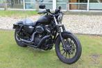 Harley-Davidson Sportster XL 883 XL 883 Sportster Iron, Motoren, Bedrijf, 2 cilinders, 883 cc, Chopper