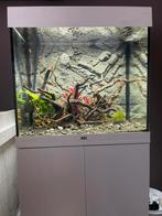 Juwel Lido 120 met CristalProfi externe pomp compl evt ruil, Zo goed als nieuw, Ophalen, Leeg aquarium