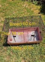 Knaagdieren binnen hok, Dieren en Toebehoren, Gebruikt, Hok, Ophalen, Minder dan 60 cm