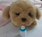 Actief hondje met geluid en bewegende ogen, Ophalen of Verzenden, Zo goed als nieuw, Overige typen, Met geluid