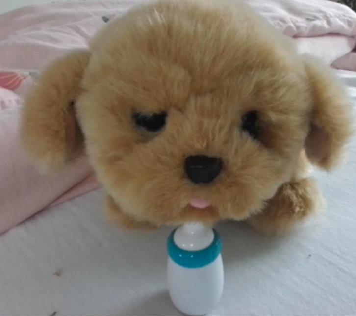 Actief hondje met geluid en bewegende ogen, Kinderen en Baby's, Speelgoed | Babyspeelgoed, Zo goed als nieuw, Overige typen, Met geluid