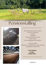 Pensionstalling Vorden, Weidegang