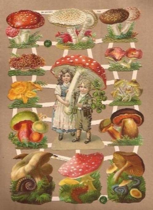 Paddestoelen geluks poezieplaatjes 7355, Verzamelen, Poesieplaatjes, Verzenden