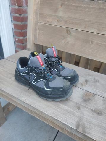 Zgan veiligheidsschoenen maat 39 dames model beschikbaar voor biedingen