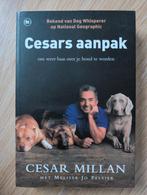 Cesar Millan - Cesars aanpak, Boeken, Dieren en Huisdieren, Ophalen of Verzenden, Zo goed als nieuw, Honden, Cesar Millan