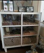 Hamsterkooi met toebehoren, Ophalen, Kooi, 110 cm of meer, 60 tot 90 cm