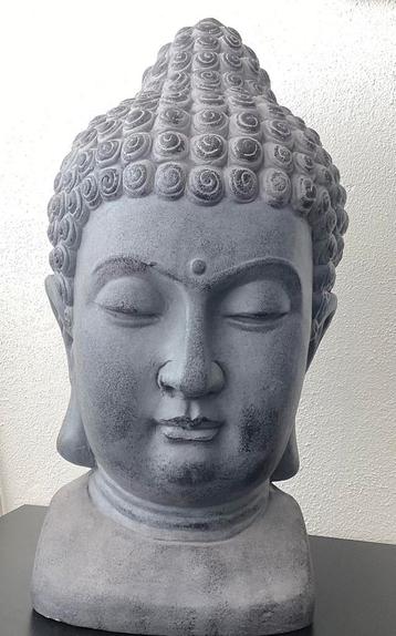 Buddha hoofd 50 cm hoog beschikbaar voor biedingen