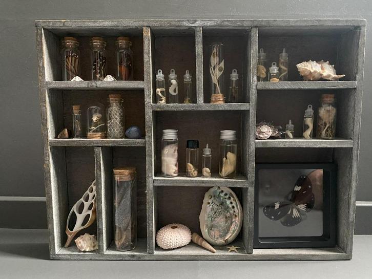 Rariteiten letterkastje letterbak, Verzamelen, Dierenverzamelingen, Beeldje of Figuurtje, Ophalen of Verzenden