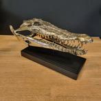 krokodillen schedel van messing op standaard, Ophalen of Verzenden