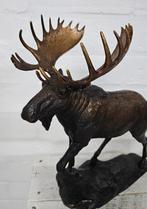 ELAND // BRONZEN BEELD / WILD DIER/ TUINBEELD/ hert, Ophalen of Verzenden, Hert, Beeldje of Figuurtje
