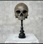 Menselijk schedel van Resin – 1400 g – Uniek Stuk, Ophalen of Verzenden, Nieuw