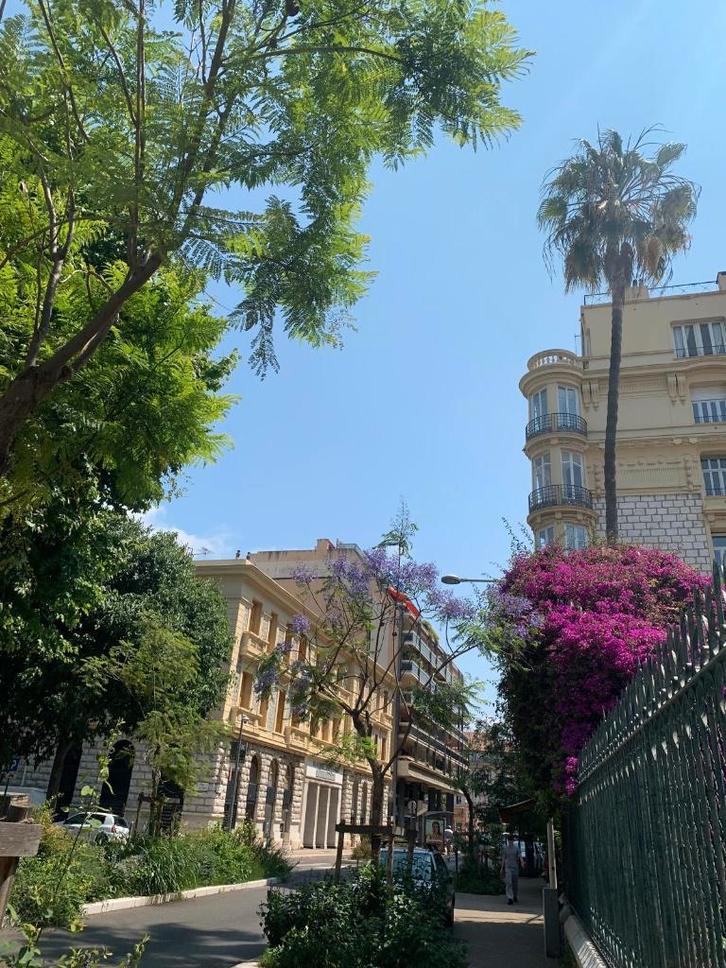 Charmante studio in het hart van Carré d’Or – Nice, Vakantie, Vakantiehuizen | Frankrijk, Provence en Côte d'Azur, Appartement