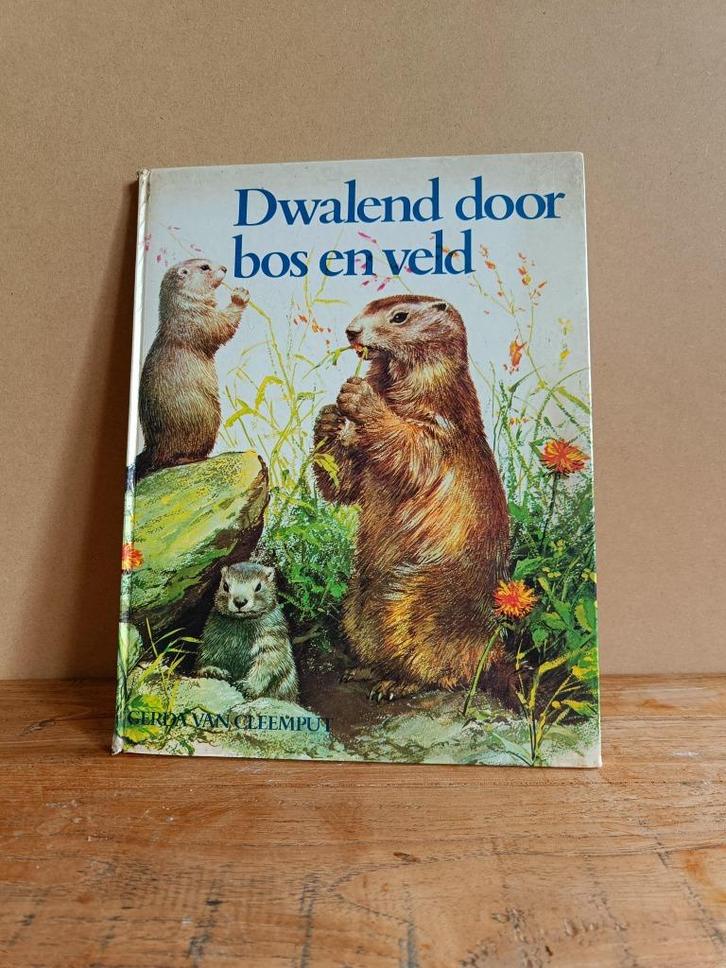 PrentenBoek - Dwalend door bos en veld, Boeken, Prentenboeken en Plaatjesalbums, Zo goed als nieuw, Prentenboek, Ophalen of Verzenden