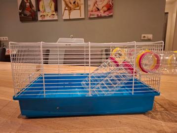 Hamster/Muizenkooi beschikbaar voor biedingen