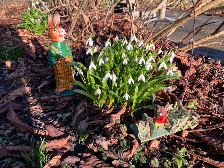 Nostalgische Paashaas Candy Container Papier Maché, Antiek en Kunst, Antiek | Woonaccessoires, Ophalen of Verzenden