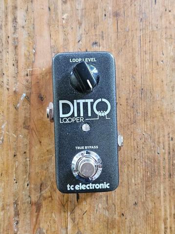 TC Electronic Ditto Looper beschikbaar voor biedingen