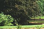 952435	Oud Gastel	N Br	Gelopen met postzegel, Verzamelen, Ansichtkaarten | Nederland, Ophalen of Verzenden, Gelopen, Noord-Brabant