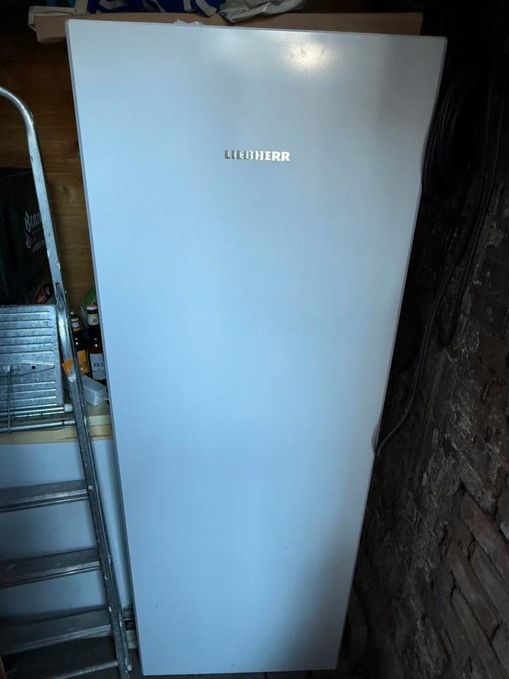 Moderne Liebherr vriezer [kapot], Witgoed en Apparatuur, Vriezers en Diepvrieskisten, Niet werkend, Vrijstaand, Vrieskast, 160 cm of meer