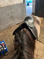 Shetlandrr zadels, Dieren en Toebehoren, Ophalen of Verzenden, Nieuw