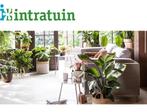 Intratuin cadeaubon 30 euro, Tickets en Kaartjes, Kortingen en Cadeaubonnen, Eén persoon, Cadeaubon, Overige typen