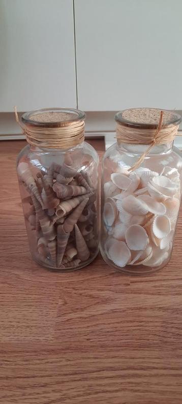 2 glazen potjes met decoratie schelpen