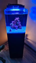Complete Marine Aquarium Starter Kit - Nano Reef Tank, Dieren en Toebehoren, Ophalen, Gebruikt, Leeg aquarium