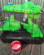 Hamsterhok hamsterkooi knaagdieren muizen, Dieren en Toebehoren, Kooi, Hamster, Minder dan 75 cm, Minder dan 60 cm