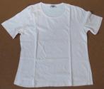 Shamp t-shirt, Kleding | Dames, Maat 38/40 (M), Shamp, Wit, Ophalen of Verzenden