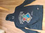 Harry Potter Hogwarts hoodie, Ophalen of Verzenden, Zo goed als nieuw, Jongen of Meisje, Trui of Vest