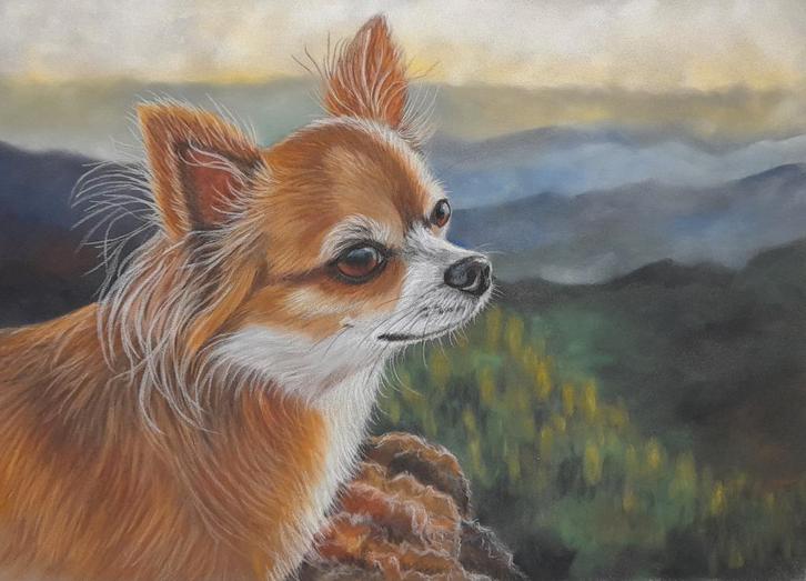 OPRUIMING Schilderij Chihuahua 1 met lijst - eigen werk, Antiek en Kunst, Kunst | Schilderijen | Modern, Ophalen of Verzenden