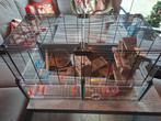Hamster kooi, Kooi, Minder dan 75 cm, Zo goed als nieuw, Hamster