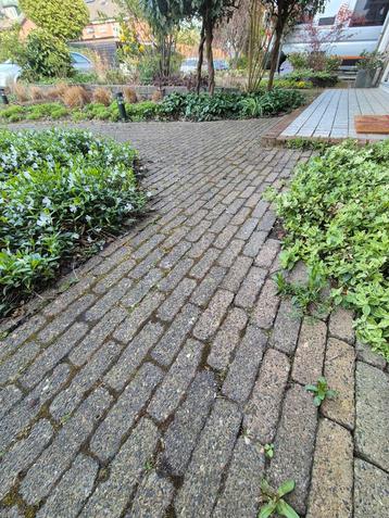 Waaltjes voortuin - afmeting 15x5 beschikbaar voor biedingen