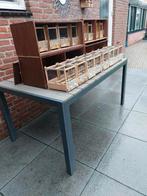 TRANSPORT / TRAININGS KISTEN, Ophalen of Verzenden, Zo goed als nieuw, Overige typen