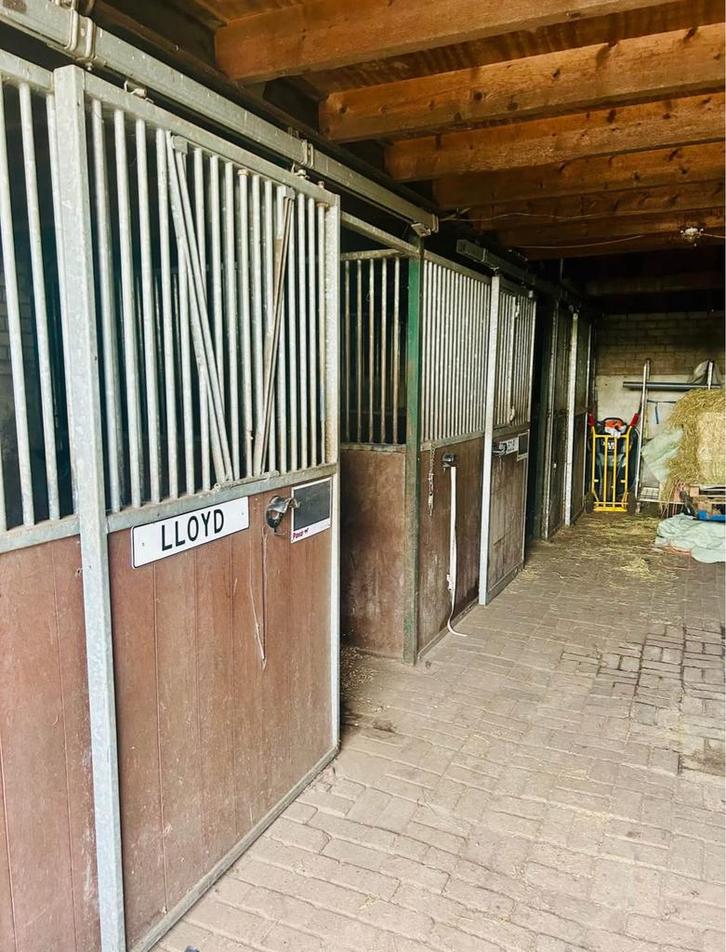 Stal / weide maatje gezocht (spoed), Dieren en Toebehoren, Stalling en Weidegang, Stalling, 2 of 3 paarden of pony's