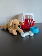 Hondje met reismandje, Ophalen of Verzenden, Gebruikt, Hond