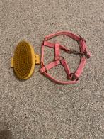 Leuke borstel en halster voor stok paarden, Kinderen en Baby's, Speelgoed | Buiten | Los speelgoed, Ophalen of Verzenden, Nieuw