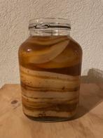 Kombucha SCOBY’s met Startersvloeistof, Ophalen