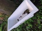 Gratis kunstof ligbad. 90x190x50, Huis en Inrichting, Ophalen, Overige typen, 50 tot 100 cm, 150 tot 200 cm
