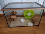 Glazen hamsterkooi met toebehoren, Dieren en Toebehoren, Gebruikt, Overige typen, Minder dan 75 cm, Hamster
