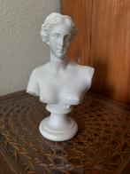 Venus - borstbeeld - beeld - buste, Ophalen of Verzenden