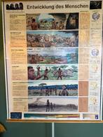schoolplaat poster van de ontwikkeling van de mensheid, Antiek en Kunst, Ophalen of Verzenden, Aardrijkskunde