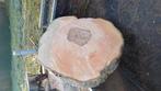 Essen schijf 70 cm tot 100 cm doorsnede, Doe-het-zelf en Verbouw, Hout en Planken, Ophalen, Zo goed als nieuw, Pallet, Minder dan 200 cm