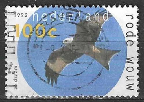 Nederland 1995 - Yvert 1515 - Roofvogels  (ST), Postzegels en Munten, Postzegels | Nederland, Gestempeld, Ophalen