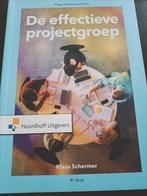 Klaas Schermer - De effectieve projectgroep, Ophalen of Verzenden, Zo goed als nieuw, Overige niveaus, Nederlands