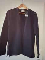 Nieuw vestje van Scotch & Soda, Ophalen of Verzenden, Nieuw, Blauw