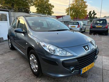 Peugeot 307 1.6-16V D.Sign beschikbaar voor biedingen